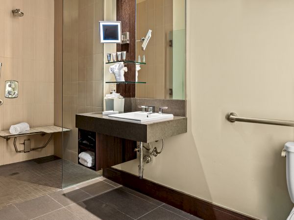 The image shows a modern bathroom with a sink, mirror, shelves, a toilet, and a walk-in shower with a bench and grab bars.
